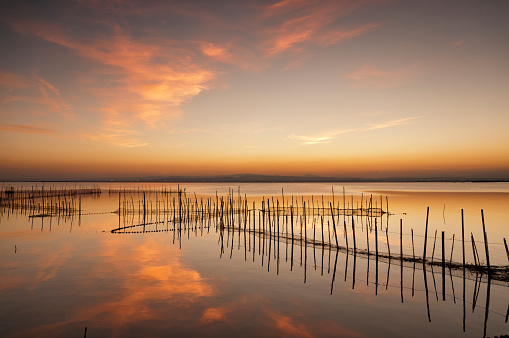 The Albufera de Valencia is a shallow coastal lagoon (average depth of 1 m) located on the Mediterranean coast south of the city of Valencia. It has an area of 23.94 km², and is surrounded by 223 km² of rice paddies.