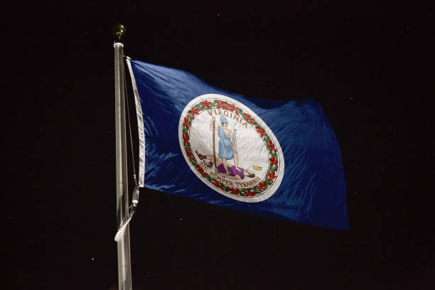 istock Virginia flag blowing in the wind at night 1197281091