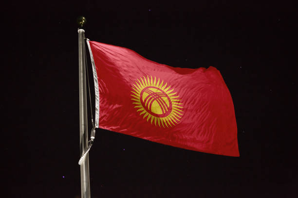 flag blowing in the wind at night
