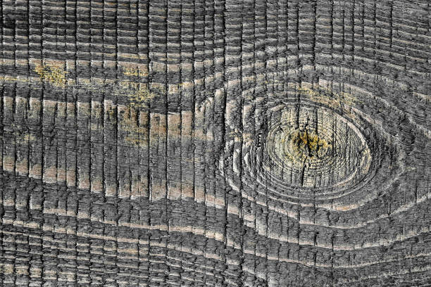 istock natural old wood texture grey color striped relief background 1197284348