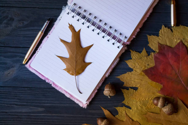 istock Opened notebook, pen and dry oak leaves on a blue wooden table. 1197285126