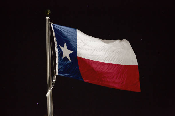 istock Texas flag blowing in the wind at night 1197285564
