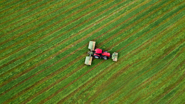 istock tractor mows the grass top view from the drone 1197285571