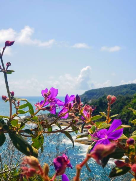 istock Flowers to the sea 1197288457
