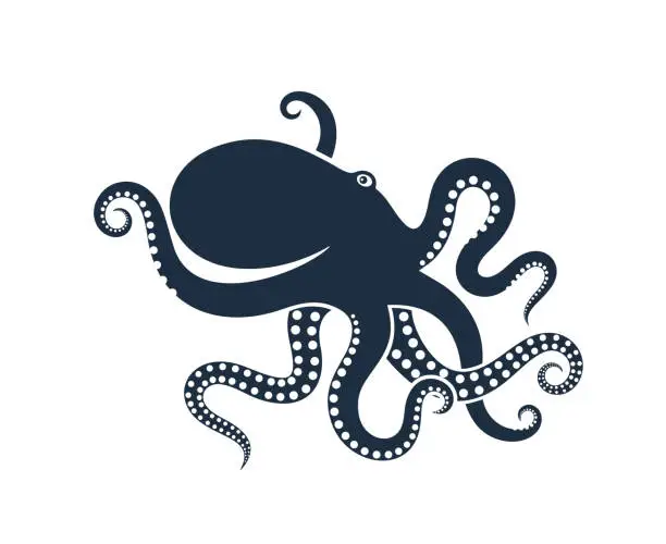 Vector illustration of Octopus. Isolated octopus on white background