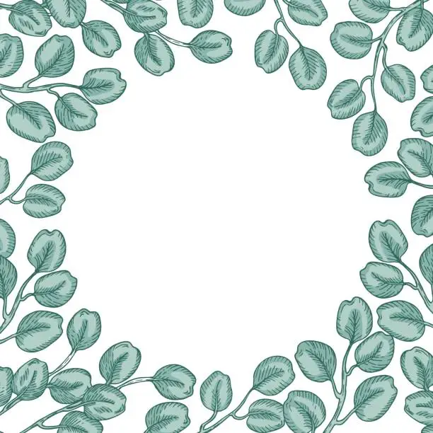 Vector illustration of Round frame of grren eucalyptus branches  isolated on white background. Hand drawn botanical illustration with green contour lines. Stock vector illustration. Floral elements fot textile and wallpaper.