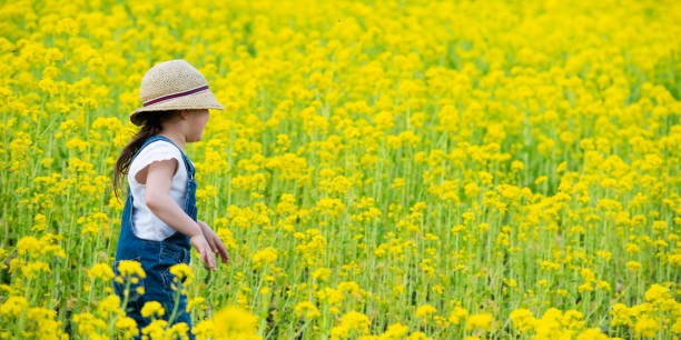 istock Little girl playing in rape field 1197291515