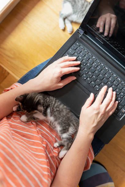 istock Woman and kitten working on laptop computer 1197292681
