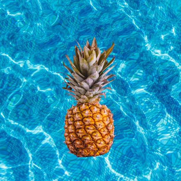istock Juicy ripe pineapple fruit swims with a wine pool. Top view with copy space 1197295610
