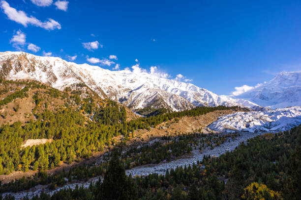 istock Fairy Meadows in Gilgit-Baltistan, Pakistan 1197295939