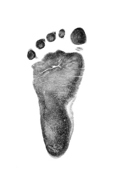 детские следы изолированы на белом фоне. - human foot baby black and white newborn стоковые фото и изображения