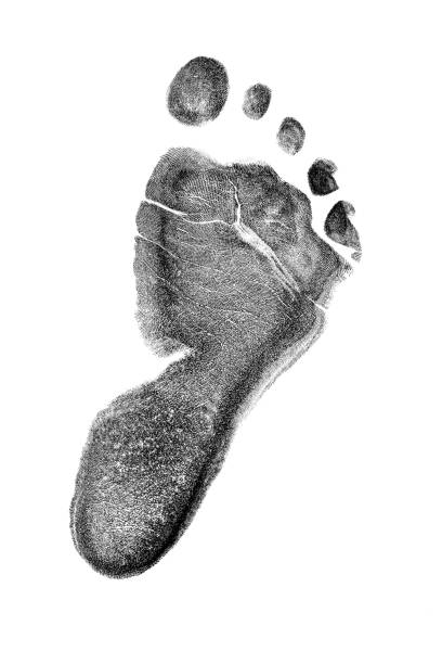 детские следы изолированы на белом фоне. - human foot baby black and white newborn стоковые фото и изображения