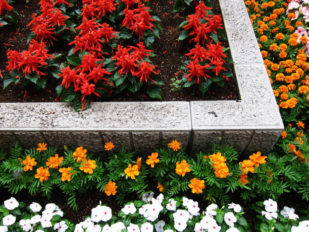 Flowers in the abstract garden