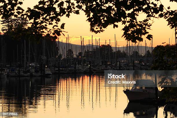 Early Morning Stanley Park Marina Vancouver Stock Photo - Download Image Now - British Columbia, Canada, Coal Harbor