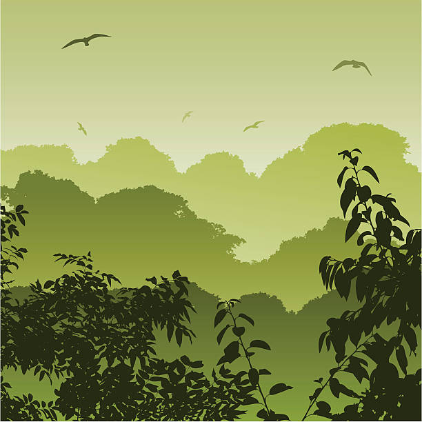 Forest Landscape vector art illustration