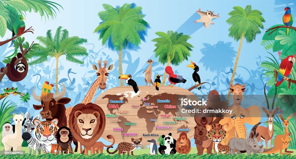 Cute Wild Animals Living In The Forest Stock Illustration - Download Image  Now - Animal, Rainforest, Animals In The Wild - iStock