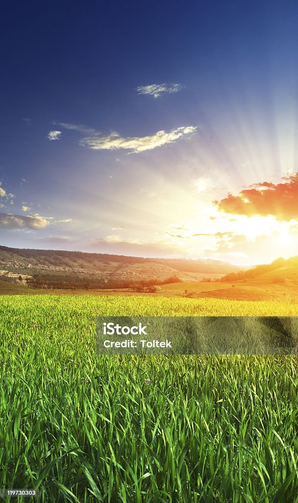 Hermoso amanecer - Foto de stock de Agricultura libre de derechos