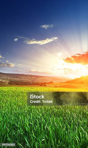 Hermoso Amanecer Foto de stock y más banco de imágenes de Agricultura - Agricultura, Aire libre, Ajardinado