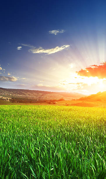 istock Sunrise over a grassy field on a lightly clouded day 119730303