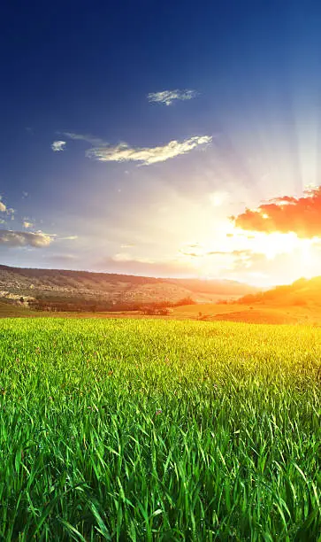 Photo of Sunrise over a grassy field on a lightly clouded day