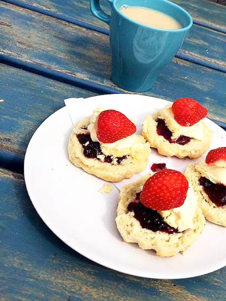 cornish śmietana herbata. - cornish cream tea zdjęcia i obrazy z banku zdjęć