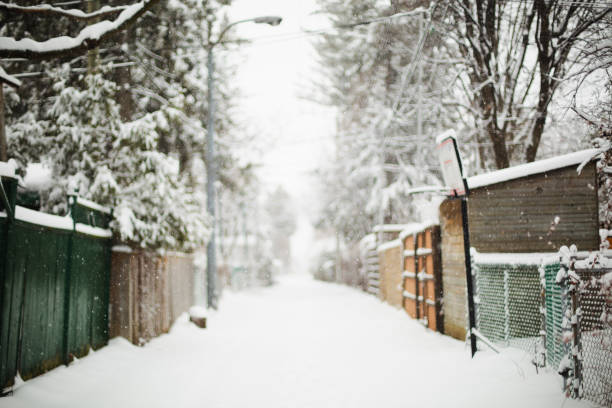 Montreal, winter, snow, single lane road