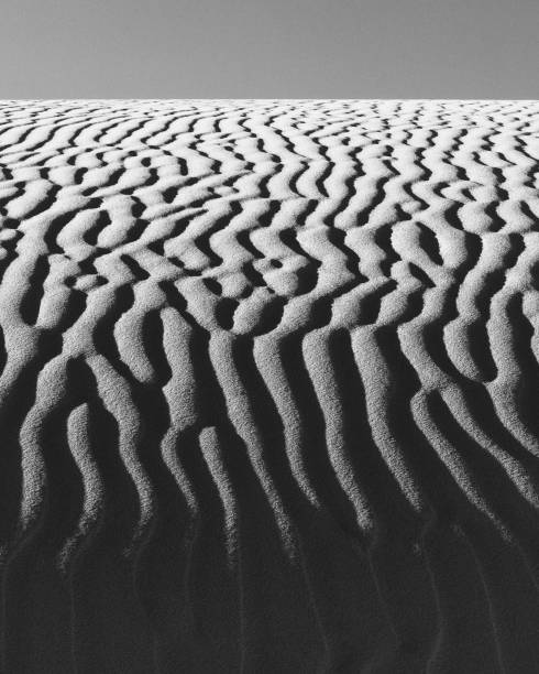 istock Ripples in the sand dunes at White Sands National Park 1197307962