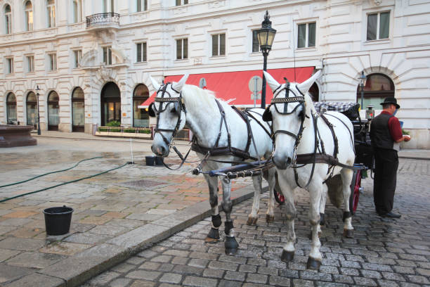 Vienna, Austria - April, 19, 2023: Carriages at the Hofburg Palace in downtown Vienna Austria on a sunny day.