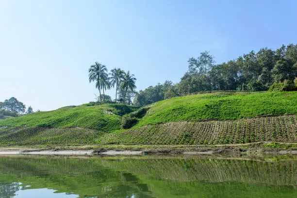 Photo of the most beautiful cropland reflection coming on the Sangu, River, Bandarban, Bangladesh