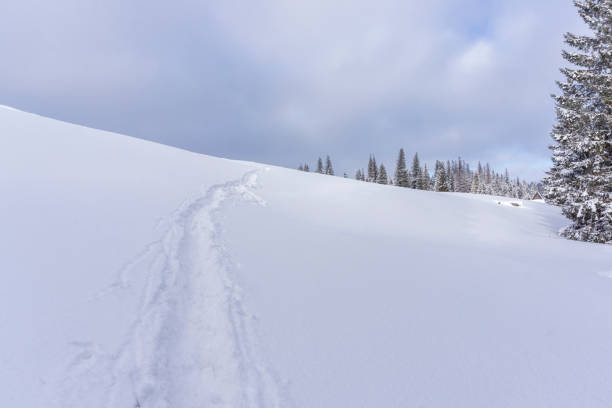 istock Winter trail in snow. Rusinowa Glade. Tatra Mountains. 1197310708