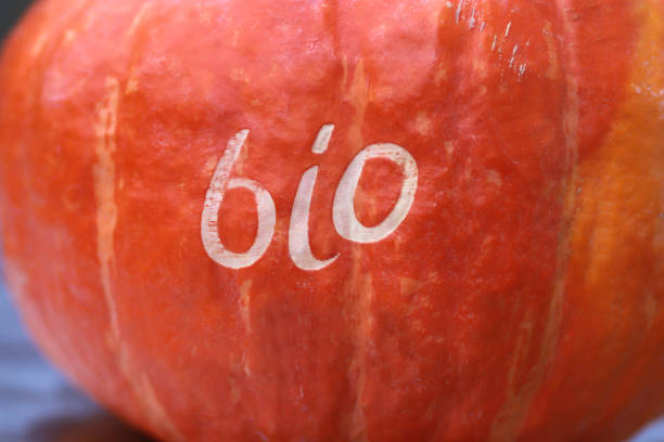 close-up of an orange colored Hokkaido pumpkin with the word bio stamped into its skin