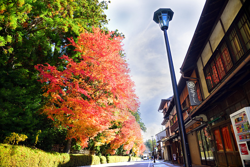 Koyasan, Japan - November 20, 2019: Koyasan town with beautiful japanese maple trees in autumn season