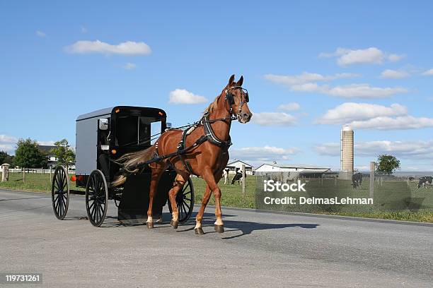 Amish Horse And Carriage Stock Photo - Download Image Now - Carriage, Amish, Pennsylvania