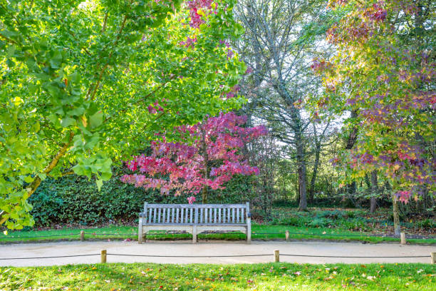istock Rlaxing in a colorful park 1197314658
