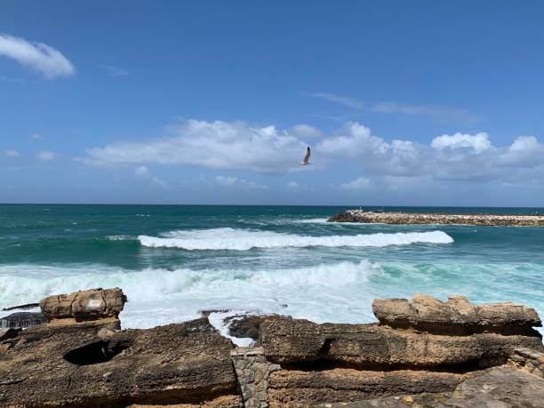 istock View of a rough coast on a sunny day 1197318063
