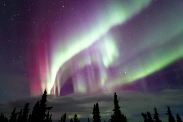 istock Beautiful aurora borealis in Fairbanks, Alaska 1197320212