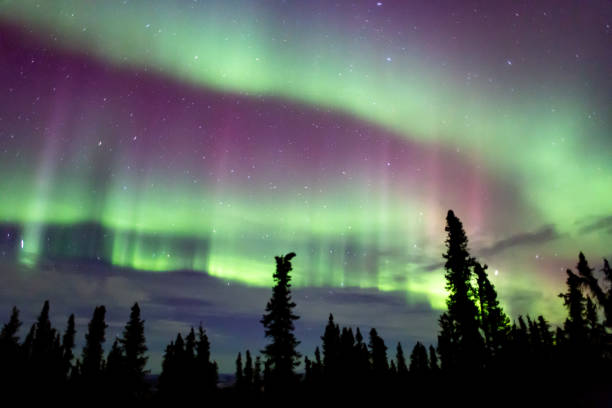 istock Beautiful aurora borealis in Fairbanks, Alaska 1197320232