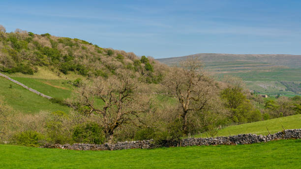 istock Near Yockenthwaite, North Yorkshire, England 1197321621