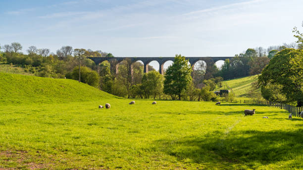 smardale viaduct, cumbria, england - kirkby stephen imagens e fotografias de stock