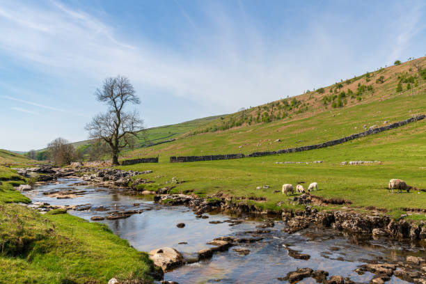 istock Near Yockenthwaite, North Yorkshire, England 1197321631