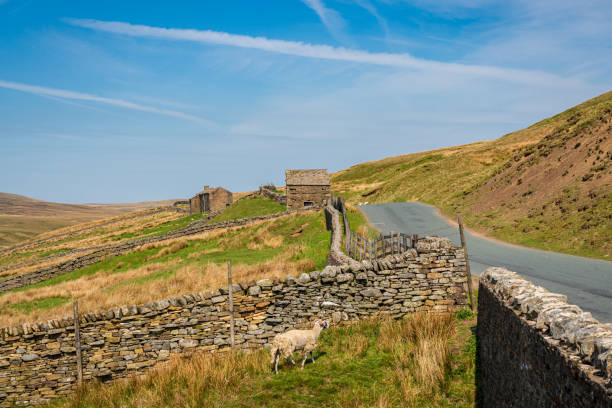 en la carretera b6270 entre nateby y birkdale, north yorkshire, inglaterra - kirkby stephen fotografías e imágenes de stock