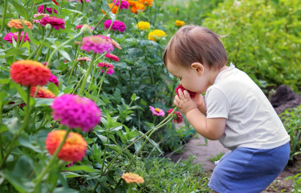 Cute little baby boy enjoying smelling flower with closed eyes. Agritourism. Slow living concept.  Summer countryside lifestyle stock photo