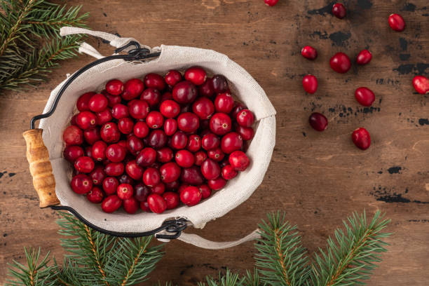 istock Cranberries in bowl on wooden background. Copy space. 1197325056