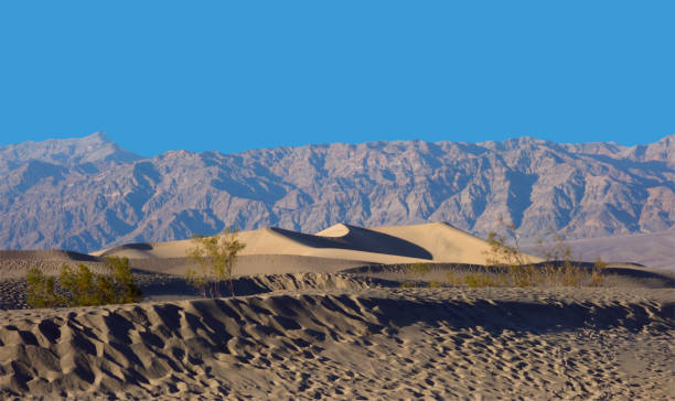 Death Valley Sand Dunes, Death Valley National Park stock photo