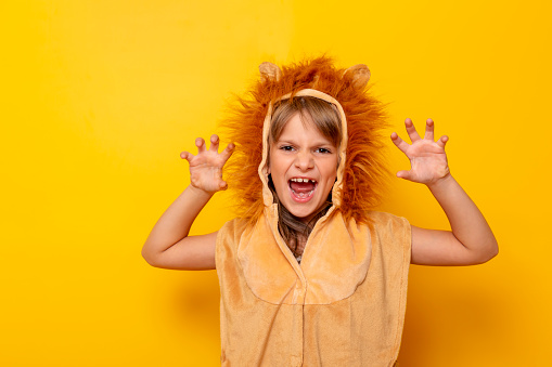 Beautiful little girl wearing lion carnival costume roaring, isolated on yellow colored background