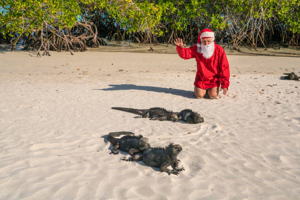 istock Santa Clause with Iguanas  on Galapagos 1197332981