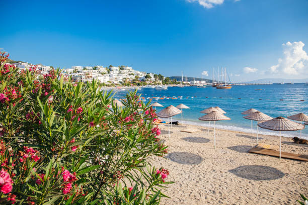 View of Bodrum Beach, Aegean sea, traditional white houses, flowers, marina, sailing boats, yachts in Bodrum city town Turkey. Beach in Bodrum city of Turkey aegean islands stock pictures, royalty-free photos & images