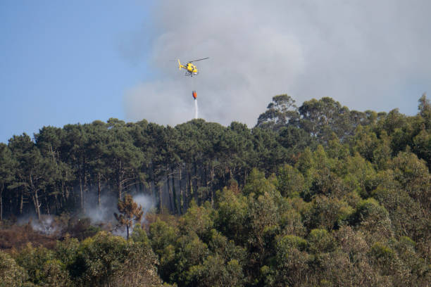 istock A firemen helicopter releasing water on a burning forest 1197341090