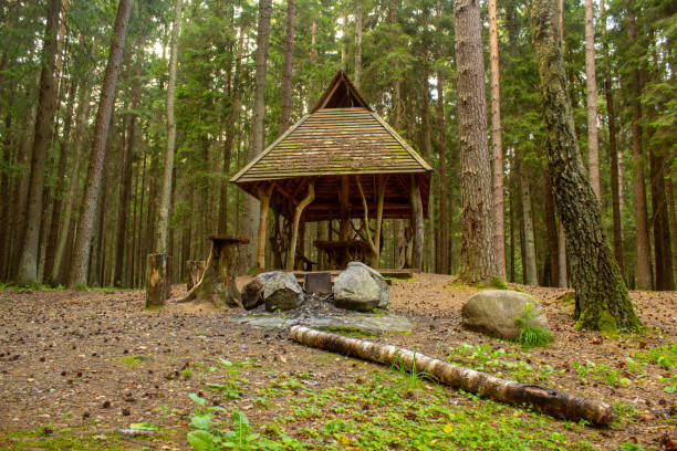 istock House in the woods 1197343268