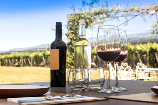 ブドウ畑を背景にしたグラスと赤ワインのボトル。 - pinot noir grape merlot grape cabernet sauvignon grape grape ストックフォトと画像